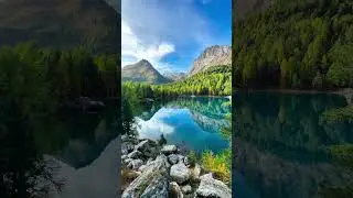 #naturevideo   #shorts #shortsvideo  #statusvideo #statusvideo #trending #naturevideo #relaxingmusic
