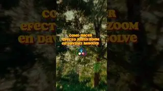 Efecto RAPID ZOOM en Davinci Resolve 