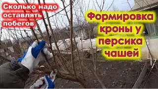 Как ФОРМИРОВАТЬ ПЕРСИК ЧАШЕЙ
