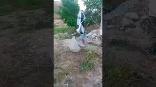 осмондан тушдими