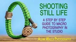 Shooting Still Life - step by step guide to macro photography in the studio