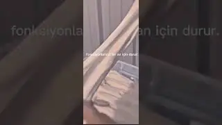ilginç bilgiler