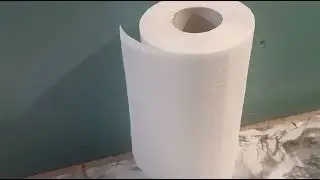 рабиния розовая (лжеакация). Семена. Проращивание. Часть 1