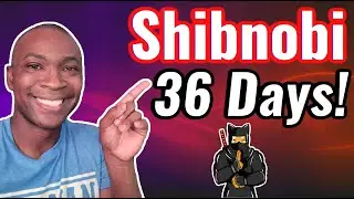 First 36 Days: Shibnobi is one of the fastest growing projects in Crypto History | Shinja Strong