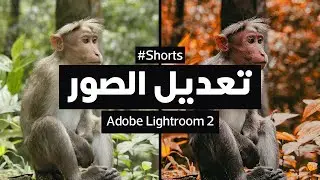 تعديل الصور باستخدام (