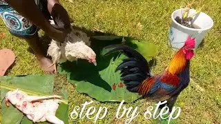 How to slaughter a chicken//step by step for beginners