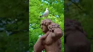 Turun Lilja  