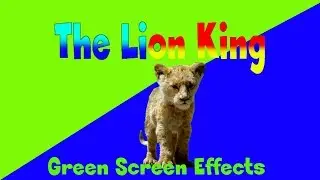 green screen lion king