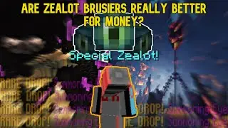 Are Zealot Bruisers REALLY Better for Money?