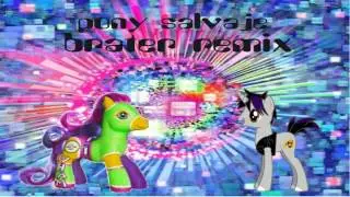 pony salvaje brater remix