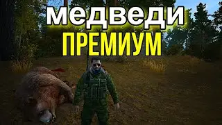 сталкер онлайн.что выпадает с премиумом.фарм медведей.stay out