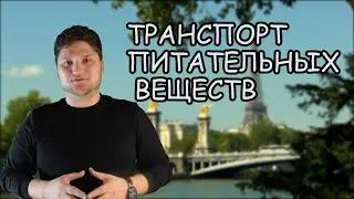 ЕСТЕСТВОЗНАНИЕ 6 КЛАСС ТРАНСПОРТ ПИТАТЕЛЬНЫХ ВЕЩЕСТВ