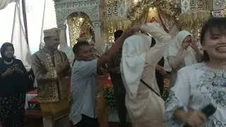 pesta adek