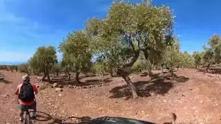 Downhill from Kallirachi to Plaka through the olive groves 360 footage