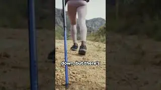 Never Quit The Power of Perseverance 