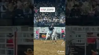 boi