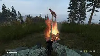 DayZ как разжечь костер (Гайд для кепочек)