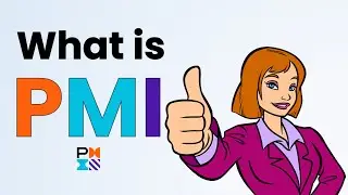 🤔What is PMI ?