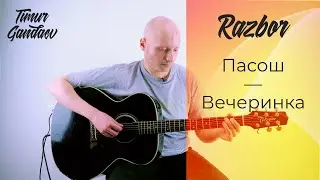 КАК ИГРАТЬ НА ГИТАРЕ - Пасош - Вечеринка