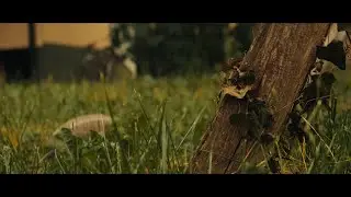 BMPCC 4K + Sirui 35mm 1,33x Anamorphic Cinematic Short Film Test