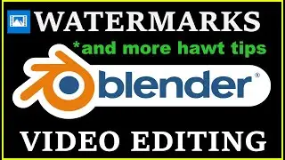 Blender 2.9 Video Editing - Adding Watermarks and More Awesome Tips!