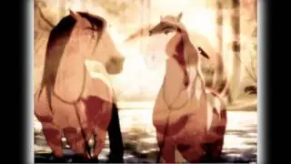 Animash ~ He-he, copyright claiming, you say? ~