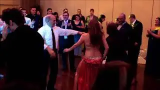 Arabic Belly Dancer - Belly Dancer - Hot Sensual Belly Dance