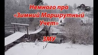 Немного про зимний маршрутный учет
