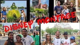Disney World Montage|Disney Springs|Animal Kingdom|Hollywood Studios|Magic Kingdom