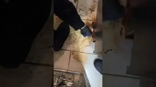 Scraped up a decaying MOUSE! Clean with me 
