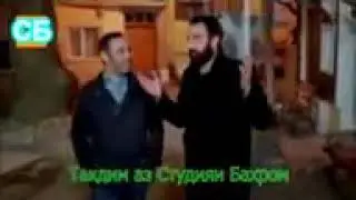 Шавка ва зин прикол