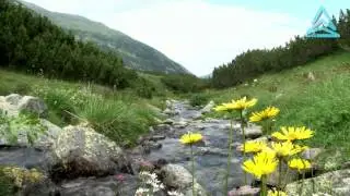 Изворите на Марица (HD - 1080p)