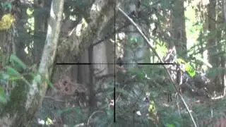 Best of Airsoft Sniper Scope Cam 2015