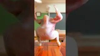 CHICKEN DANCING VIDEO😂😂😂#funnychickenvideos #shortsfeed#shorts #shortvideo #tiktok #viral #trending