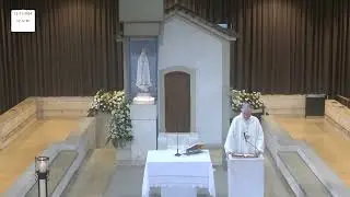 Missa a Nossa Senhora de Fátima desde a Capelinha das Aparições  12.11.2024