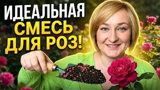 Смешай ЭТО! Идеальная БАКОВАЯ СМЕСЬ для роз от болезней и вредителей.