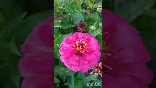 хэерле иртэ,чэйлэрегез тэмле,шифалы булсын дусларым!