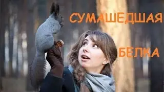 СУМАСШЕДШАЯ #БЕЛКА ГОНИТСЯ ЗА ДЕВУШКОЙ!