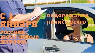 С 1 января 2020 года россиян ждут новые штрафы и повышение полиса ОСАГО