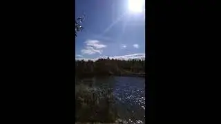 Россия.Прогулка с сестрой по лесу 2020 .Московская область. Summer forest . Walking with my sister.