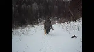 Тайга