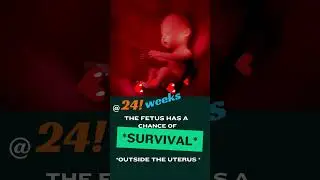 Fact~ unborn babies | ultrasound | #baby  #ultrasound #pregnant