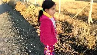 Bella Yegua y su potrillo recién nacido