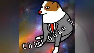 Chill Guau 3