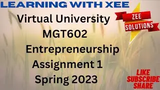 MGT602 Assignment 1 spring 2023 virtual University of pakistan