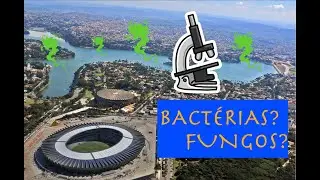 DOENÇAS da LAGOA DA PAMPULHA!! - Vendo micróbios da Lagoa da Pampulha no MICROSCÓPIOS!