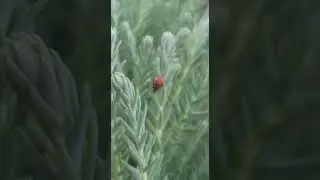 Найди время, остановись хотя бы на минуту, и получи наслаждение от того, что тебя окружает...😍