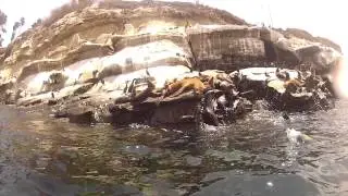 Kayaking in La Jolla