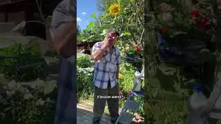 Странный звонок #юмор