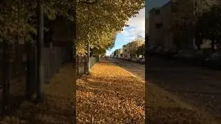 tyna wind - autumn winds (bam ding) ♫